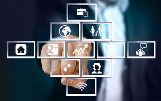 上海互聯(lián)網(wǎng)軟件集團 引領(lǐng)高端協(xié)同管理軟件與咨詢服務(wù)新紀元